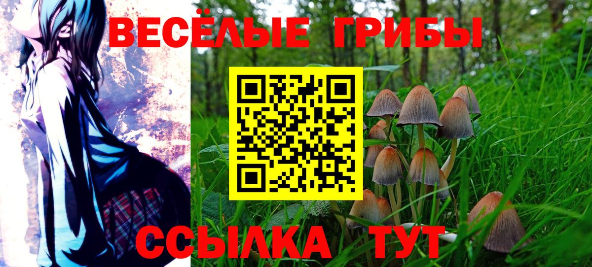 Псилоцибиновые грибы Cubensis Майкоп